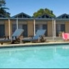 Отель Mornington Motel, фото 11