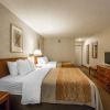 Отель Comfort Inn Lethbridge, фото 38
