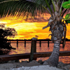 Отель Bungalows Key Largo - All Inclusive Resort, Adults Only, фото 3
