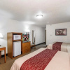 Отель Bearcat Inn and Suites, фото 35