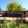 Отель Etango Ranch Guestfarm, фото 6