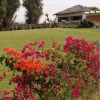 Отель Campestre Sacsay Mejia, фото 14