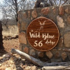 Отель The Wild Blue Lodge SAFARI & SPA, фото 1