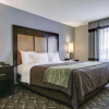 Отель Comfort Inn & Suites I-10 Airport, фото 6