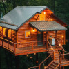 Отель Cricket Hill Treehouse Cabins, фото 11