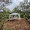 Отель Treurer Olive Grove & Grand House - Adults Only, фото 23