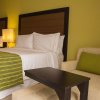 Отель Holiday Inn Express Xalapa, an IHG Hotel, фото 34