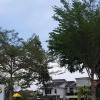Отель Venice of Perak Homestay MALAY ONLY, фото 3