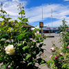 Отель Ilam Motel, фото 5