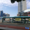 Отель Yulinglong City Hostel, фото 6