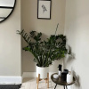 Отель Gorgeous 3 Bedroom Home in Quaint Southfields, фото 24