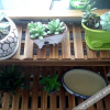 Отель Shidu Zui Shanshui  Theme Mayjuku, фото 11