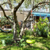 Отель Mila - family friendly & comfortable - A1 (6+1), фото 17