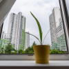 Отель Roomer (Румер) на улице Скрыганова 4А, фото 8