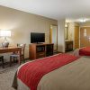 Отель Comfort Inn Walcott near Davenport, фото 5