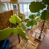 Отель Pamookkoo Resort, фото 17