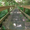 Отель Mt Baker Lodging Cabin 19 Sleeps 10, фото 16