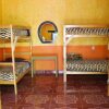Отель Iguana Hostel, фото 2