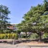 Отель Villa LE MAXIME Sainte Maxime 13146, фото 15