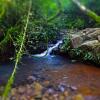 Отель Chacra del Agua -Home Lodge and Kayak, фото 48