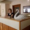 Отель Swan Motel, фото 20