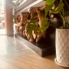 Отель Season Point Hotel, фото 10