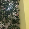 Отель Dreambox Oxeraak Tan Binh Hostel, фото 42