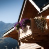 Отель Les Fleurs Bleues chalets, фото 28