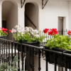 Отель Apartment Gesse Kollarova, фото 8