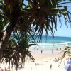 Отель Pacific on Coolum, фото 28