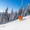 Отель Big White Ski Resort, фото 42