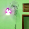 Отель Homestay Tam An, фото 12