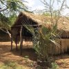 Отель Samburu Riverside Camp, фото 10