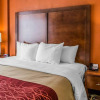Отель Comfort Inn & Suites, фото 26