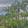 Отель Forster Palms Motel, фото 6