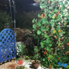 Отель Wuchuan Dongshan Private Language Homestay, фото 7