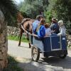 Отель Finca Sa Cova Vella, фото 16