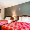 Отель Inn at Lake Washington By OYO I-405, фото 37