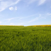 Отель Landgasthof Zur Post, фото 10