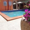 Отель Cactus Inn Los Cabos в Пуэрто-Лос-Кабосе