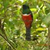 Отель Miriam's Quetzaly lodge, фото 2