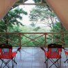 Отель Volcano Tenorio Glamping Ranch - 3 Tents, фото 10