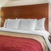 Отель Comfort Inn New York Staten Island, фото 21