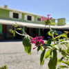 Отель Flores de Bombinhas, фото 1