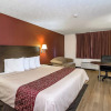 Отель Comfort Inn (Hermitage), фото 5