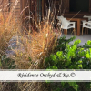 Отель Charming 2-bed Cottage, 5 mn Beach, Sainte-anne, фото 5