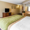 Отель Comfort Inn & Suites Walterboro I-95, фото 4