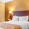 Отель Quality Hotel & Suites, фото 38