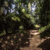 Отель Uravu Bamboo Grove, фото 16