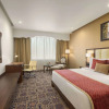 Отель Ramada Plaza by Wyndham Agra, фото 4